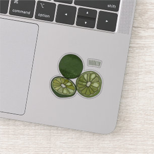 Kaffir lime tecknad illustration klistermärken