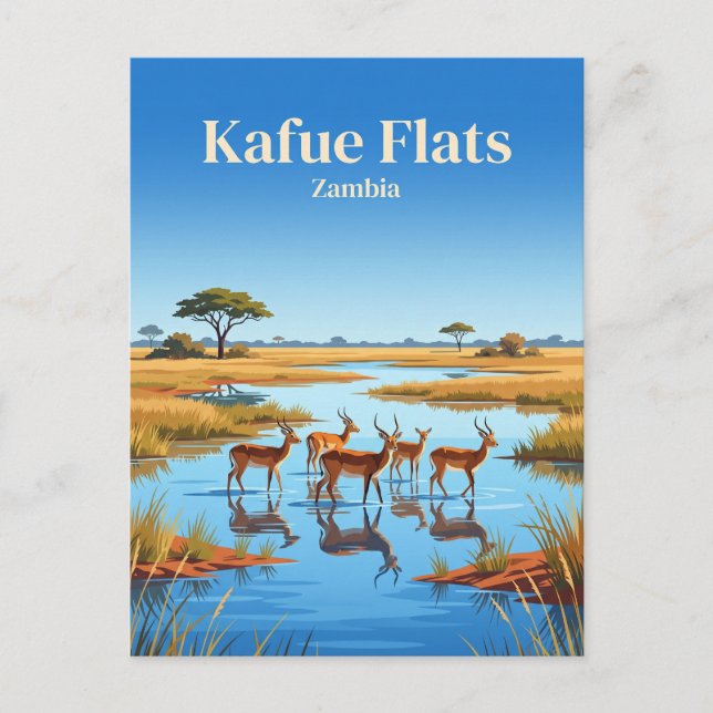 Kafue Flats, Blue Lagoon nationalpark Zambia Vykort (Framsida)