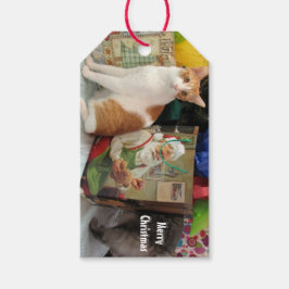 Kagans julklappar - Katt/Kitten Gift-Märkre Presentetikett