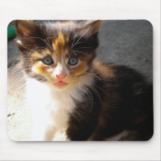 Käglor Mousepad Musmatta
