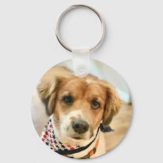 Kai Hund Ansikte Keychain Nyckelring