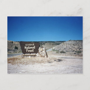 Kaibab National Forest Sign Vykort