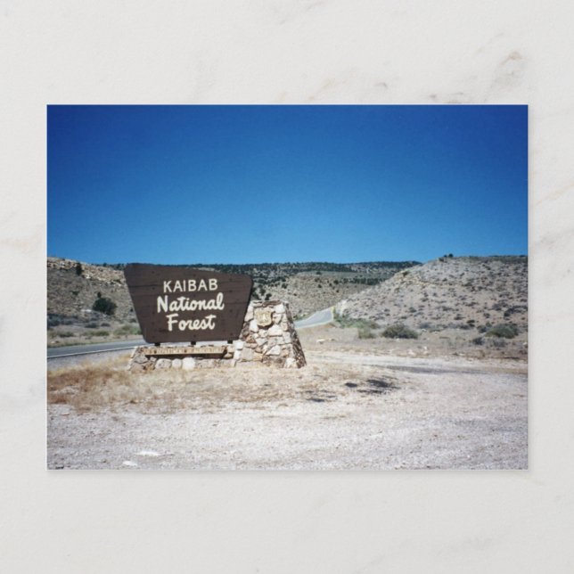 Kaibab National Forest Sign Vykort (Framsida)