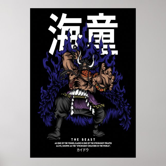 Kaido Poster (Framsidan)