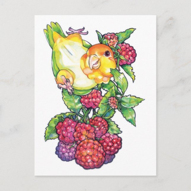 Kaik med hallon vykort (Framsida)