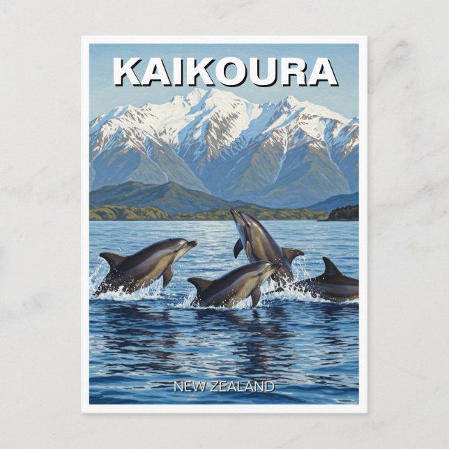 Kaikoura New Zealand Dolphins Travel Vykort (Framsida)