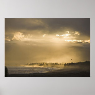 Kaikoura, Nya Zeeland. Kaikoura är känt för Poster