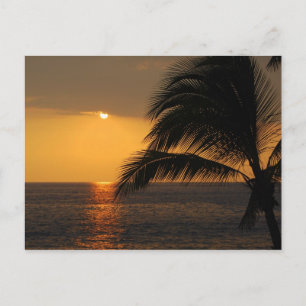 Kailua-Kona, Hawaii, Sunset Postcard Vykort