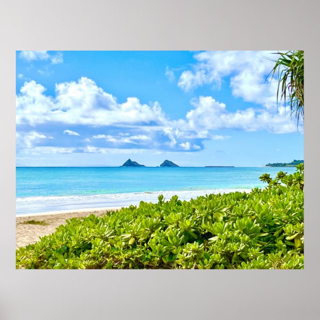 Kailua, Oahu Poster (Framsidan)