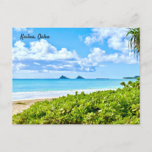 Kailua, Oahu Vykort