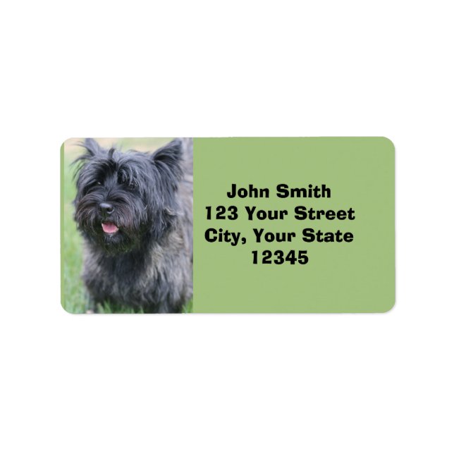 Kairn Adressetikett (Framsidan)