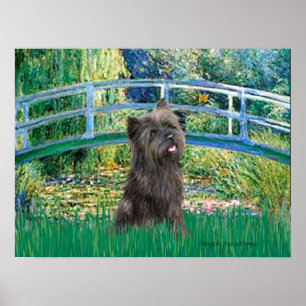 Kairn (Brindle 21) - Lily Pond Bridge Poster