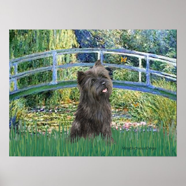 Kairn (Brindle 21) - Lily Pond Bridge Poster (Framsidan)