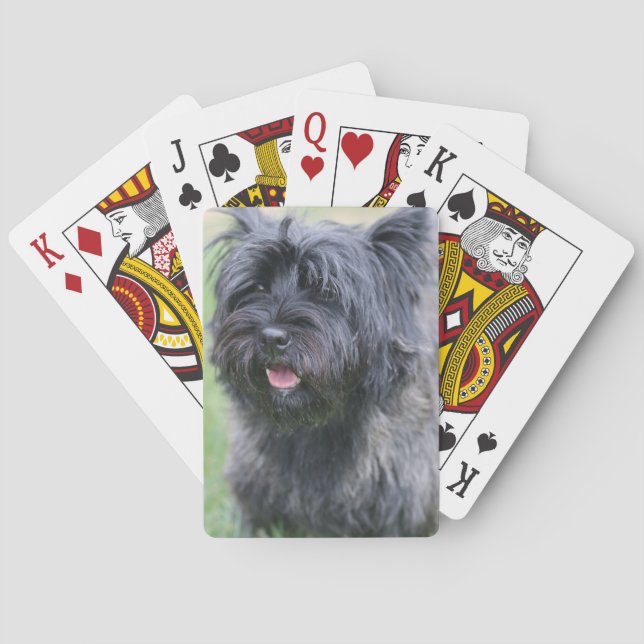 Kairn Casinokort (Baksidan)
