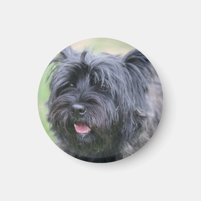 Kairn Magnet (Framsidan)