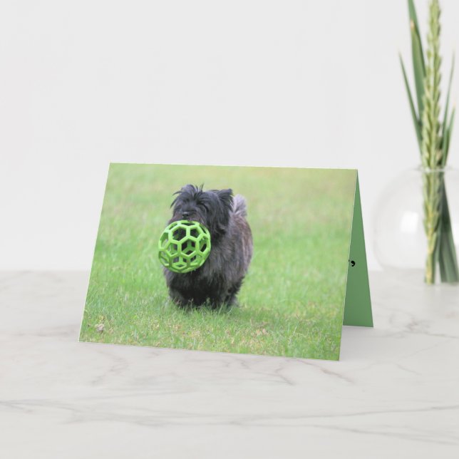 Kairn skräcker kort (Framsida)