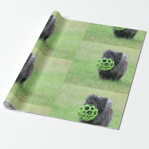 Kairn skräcker presentpapper