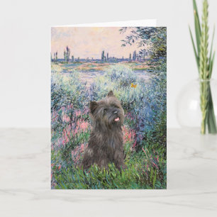 Kairn Terrier (Brindle 21) - Seine Helgkort
