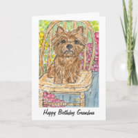 Kairn Terrier Grattis på födelsedagen Grandma Gran