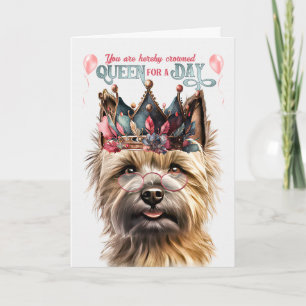 Kairn Terrier Hund Queen för en dag på en dag på n Kort