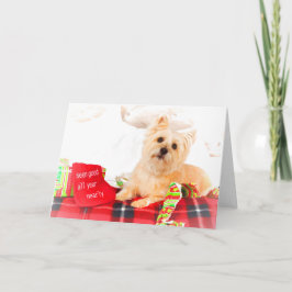 Kairn Terrier-julkort Helgkort
