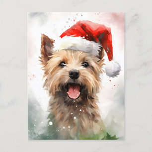 Kairn Terrier-julpenseln målar teckningar Vykort