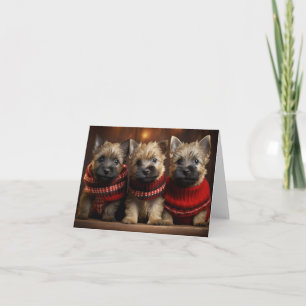 Kairn Terrier Puppies-julkort Kort
