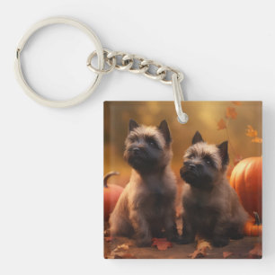 Kairn Terrier Puppy Autumn Delight Pumpkin