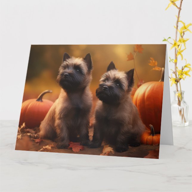 Kairn Terrier Puppy Autumn Delight Pumpkin Kort (Gul blomma)