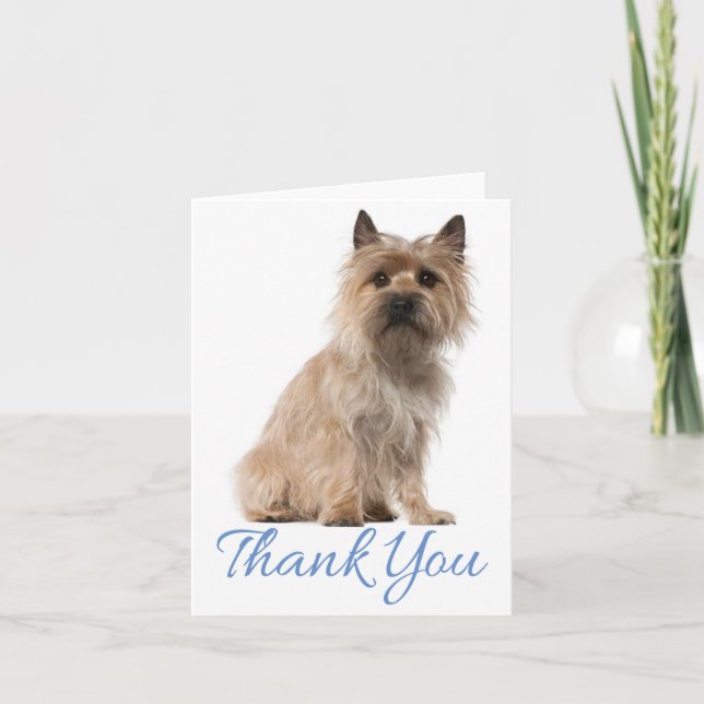 Kairn Terrier Puppy Tack Blank Note Card Kort (Framsida)