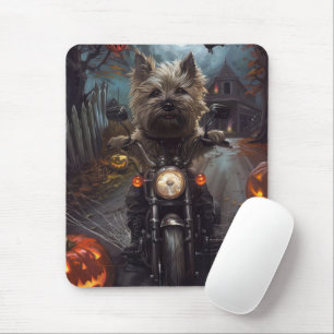 Kairn Terrier Riding Motorcykel Halloween Scary Musmatta