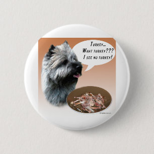 Kairn Terrier Turkiet Knapp