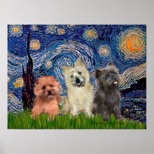 Kairn Terriers (3) - Starry Natt Poster