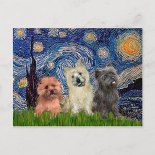 Kairn Terriers (3) - Starry Natt Vykort