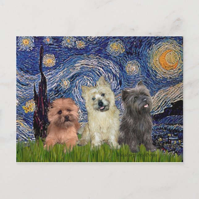 Kairn Terriers (3) - Starry Natt Vykort (Framsida)