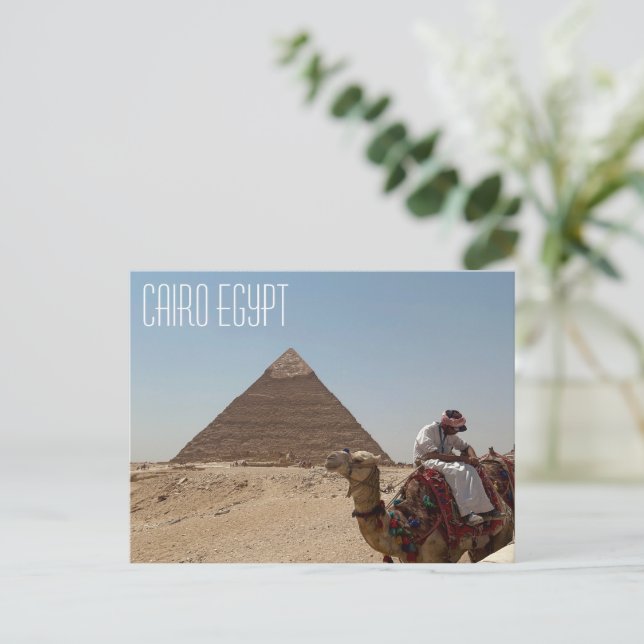 Kairo Egypten Camel framför Pyramid-vykort Vykort (Stående Fram)