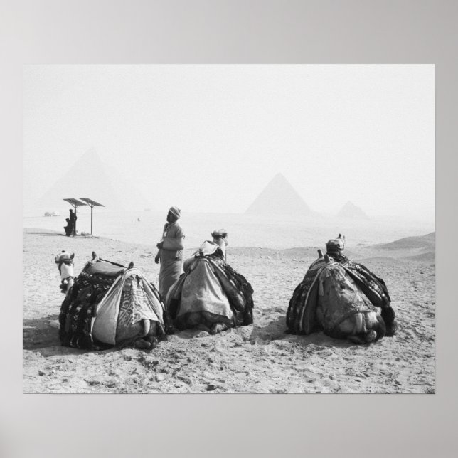 Kairo Egypten, Camel Jockeys Giza Pyramids (NR) Poster (Framsidan)