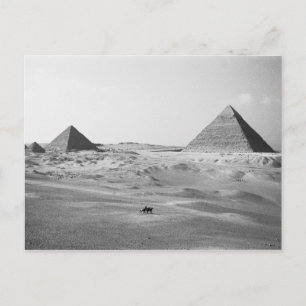 Kairo Egypten, Giza Pyramiderna Vykort