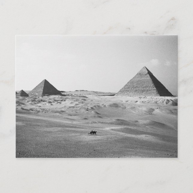 Kairo Egypten, Giza Pyramiderna Vykort (Framsida)