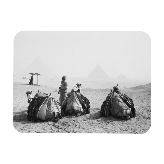 Kairo Egypten, kameljockeys Giza pyramiderna (NR) Magnet (Horisontell)
