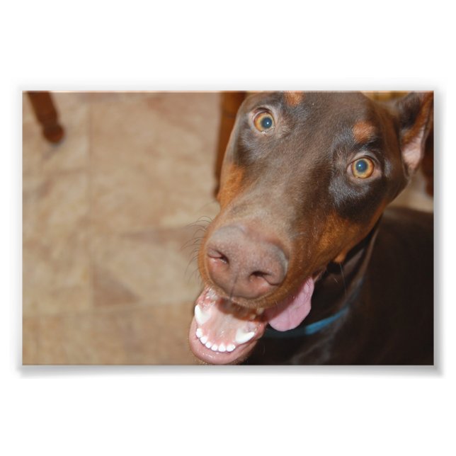 Kaiser Fototryck (Framsidan)