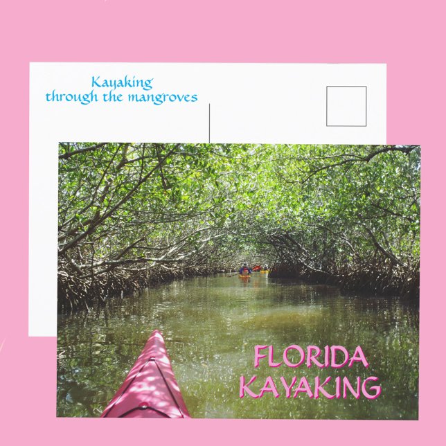 Kajakåkning genom mangroveträsk Floridas äventyr Vykort (Skapare uppladdad)