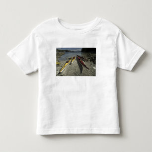 Kajaker på Dicebox Island, Broken Island Group, T-shirt