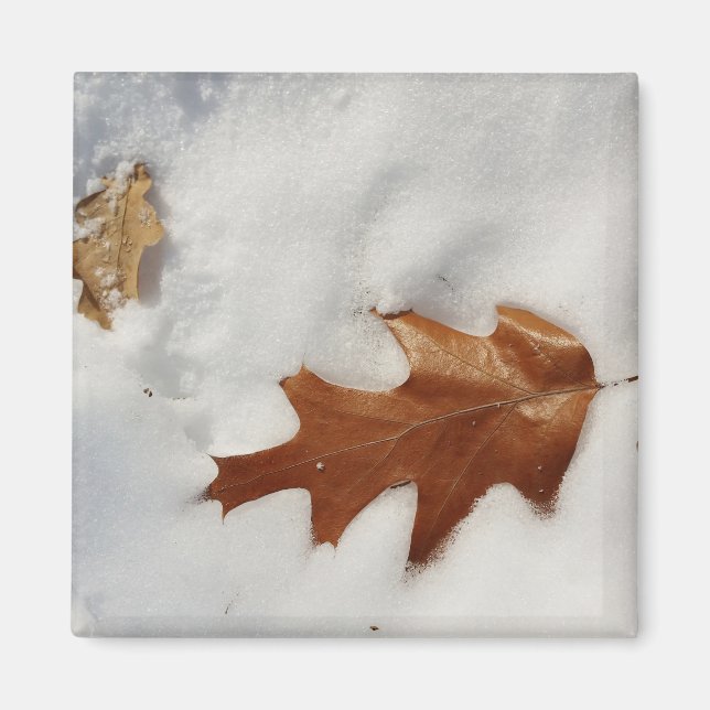 Kak löv vid snö magnet (Framsidan)