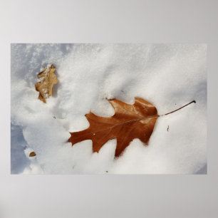 Kak löv vid snö poster