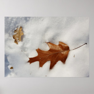 Kak löv vid snö poster