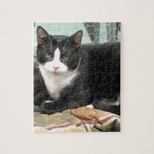 Kaka Pussel (Vertikal)