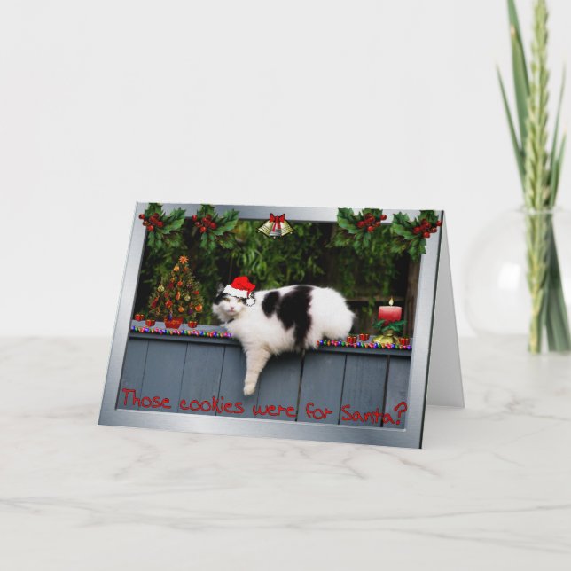 Kaka som älskar katten helgkort (Framsida)