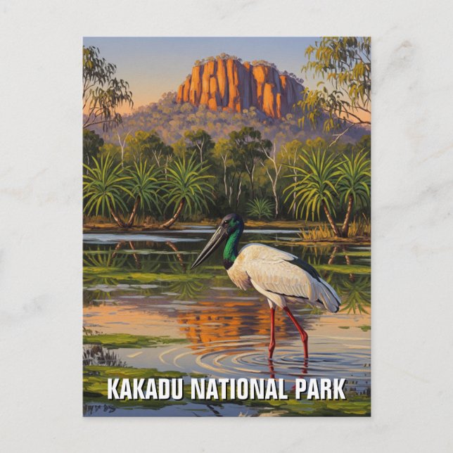 Kakadu nationalpark Australien Vykort (Framsida)