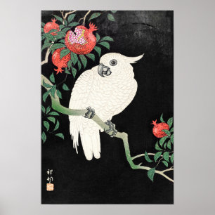 Kakadua och granatäpple av Ohara Koson Poster